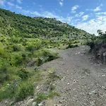 Qyteza &