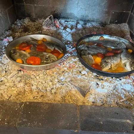 Qyteza & Appartement