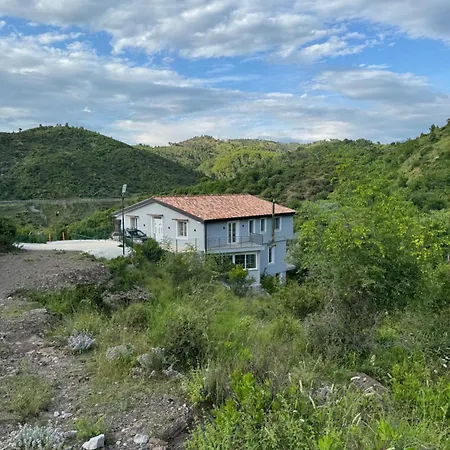 Qyteza & Shkodra