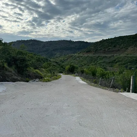 Qyteza & * Szkodra